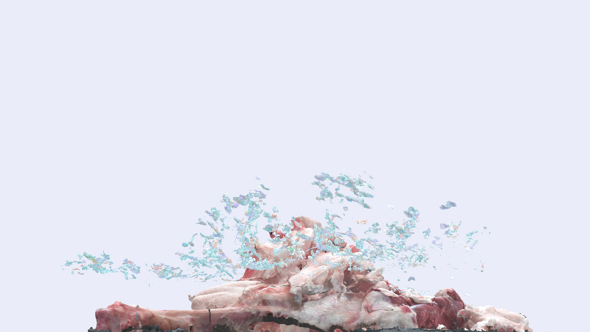 studies on weird photogrammetry